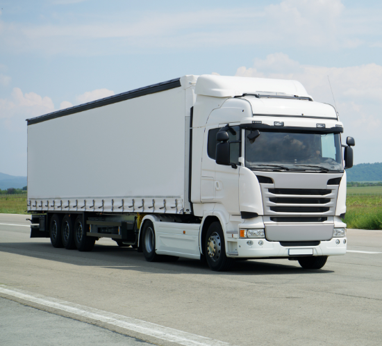 camión blanco en carretera